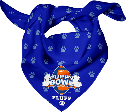  Personalized Dog Bandana, Taos Power Blue Aztec, Stitched  Leather Name Tag, Personalized Name, Bandanas for Dogs, Over The Collar Dog  Bandana (Sizes: XXSmall - XXLarge) : Pet Supplies