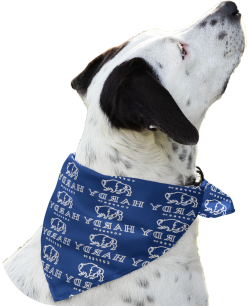 Personalized Dog Bandana, Taos Power Blue Aztec, Stitched Leather Name Tag,  Personalized Name, Bandanas for Dogs, Over The Collar Dog Bandana (Sizes