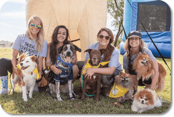  I Dont Always Drink Pet Bandana - Camping Themed Dog Bandana - Quotes  Pet Scarf - M : Pet Supplies