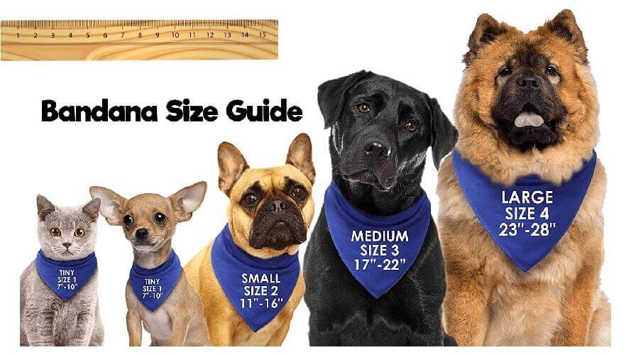 15 Best Custom/Personalized Dog Bandanas