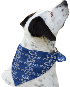 Handmade Patterned Blue Child's Dog Scarf Free Shipping