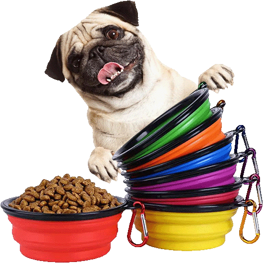 Rubber Foldable Double Bowl Pet Feeding Bowl Pets Supplies Dog Cat