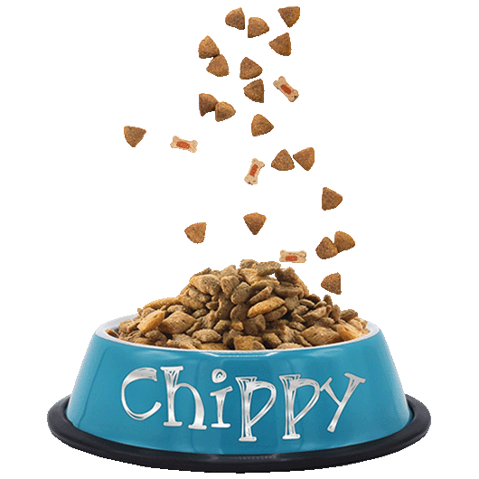 Personalized Small Dog Food Bowls - Dog Breeds