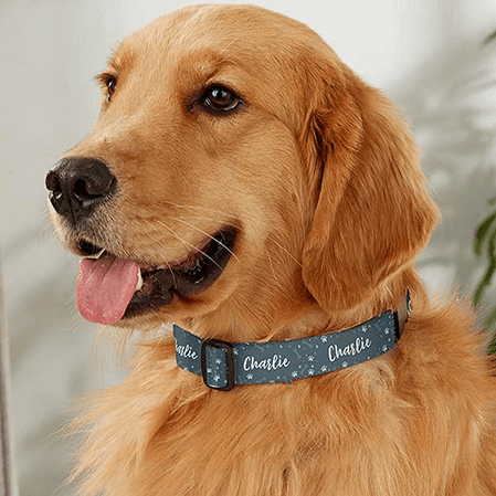 Find Wholesale Dog Collar Hardware And More Pet Accessories