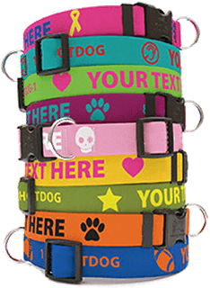 Hot Dog Collars  Custom, Personalized Dog Collars & ID Tags