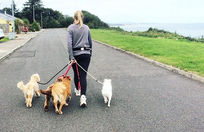 dog walking services