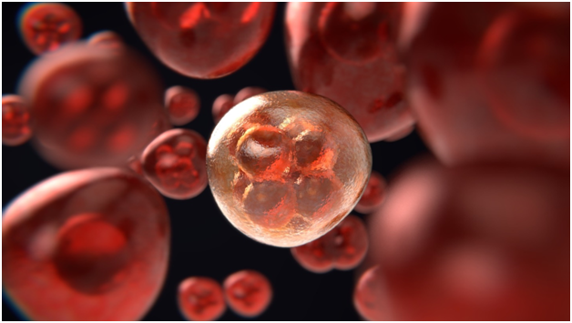 Home Remedies for Cancer Treatment