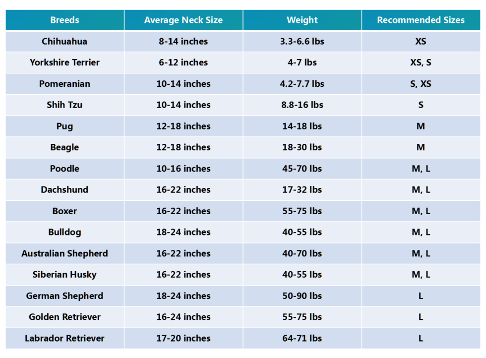 Best dog bandana size guide 2021 needed by all pet owners.