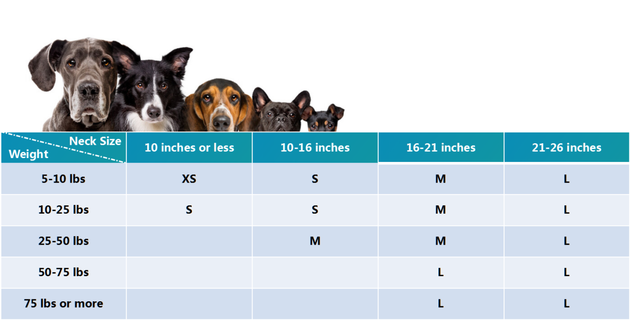 Best dog bandana size guide 2021 needed by all pet owners.