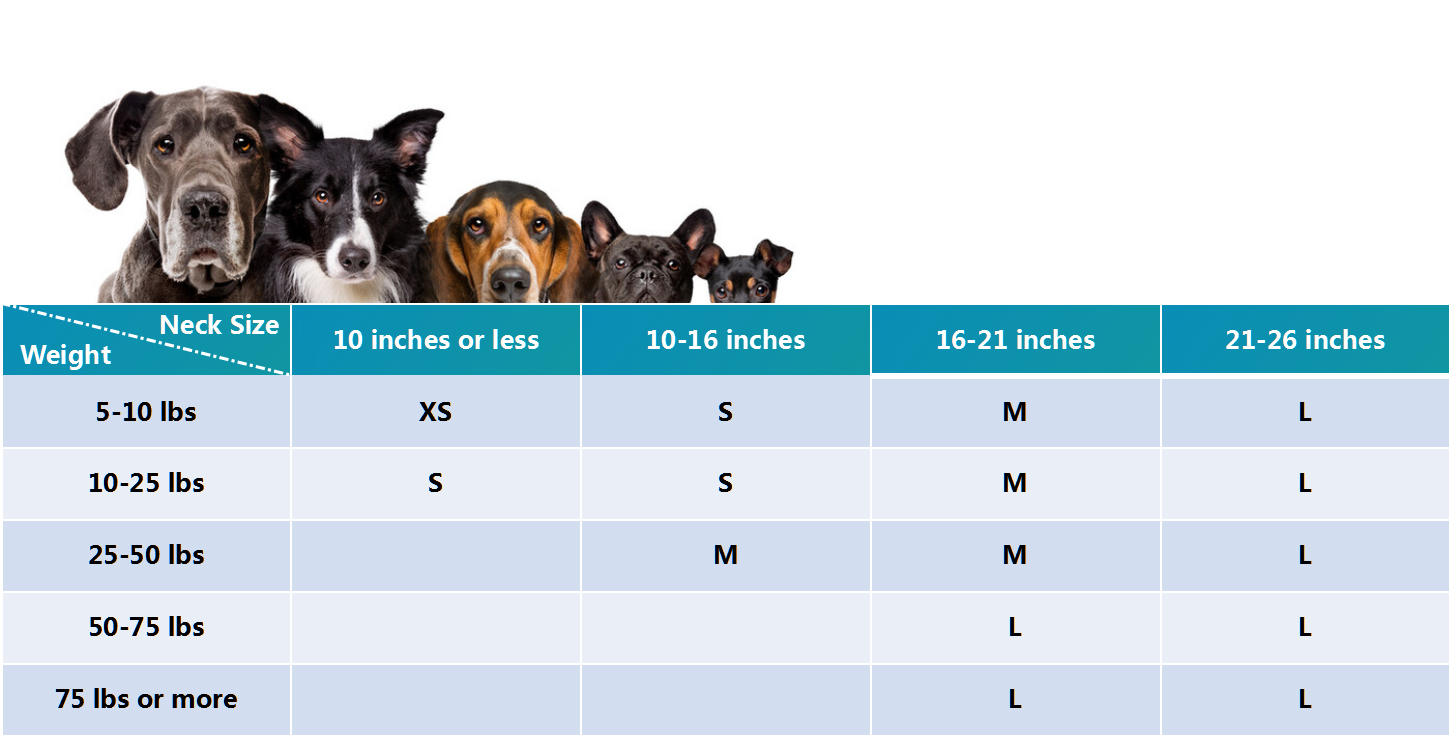 Dog Bandana Size Guide by Neck Size and Weight - 4inbandana.com