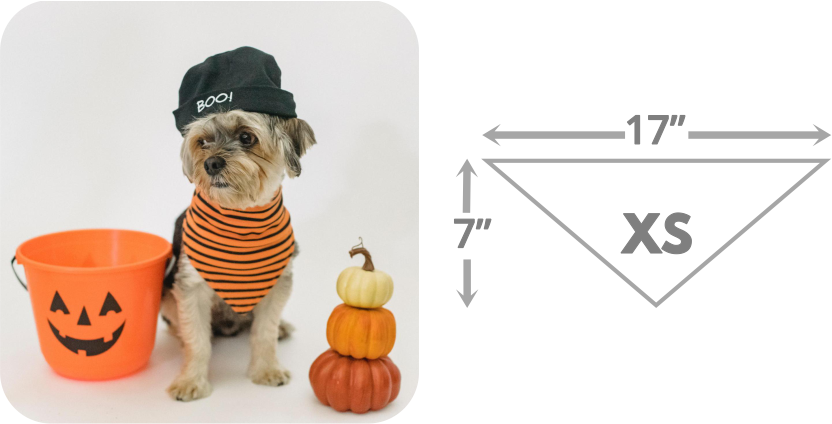 dog bandana size guide-4