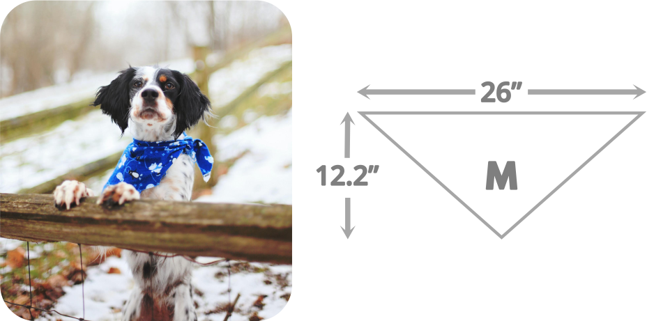 dog bandana size guide-6