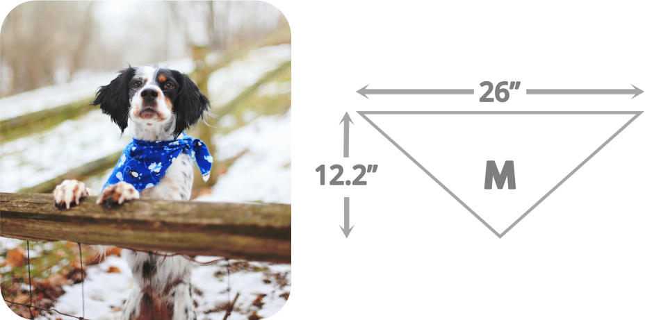 Best dog bandana size guide 2021 needed by all pet owners.