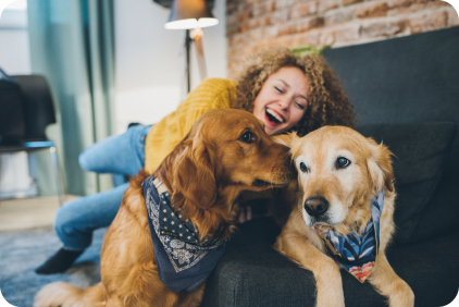 the Point of a Dog Bandana-1