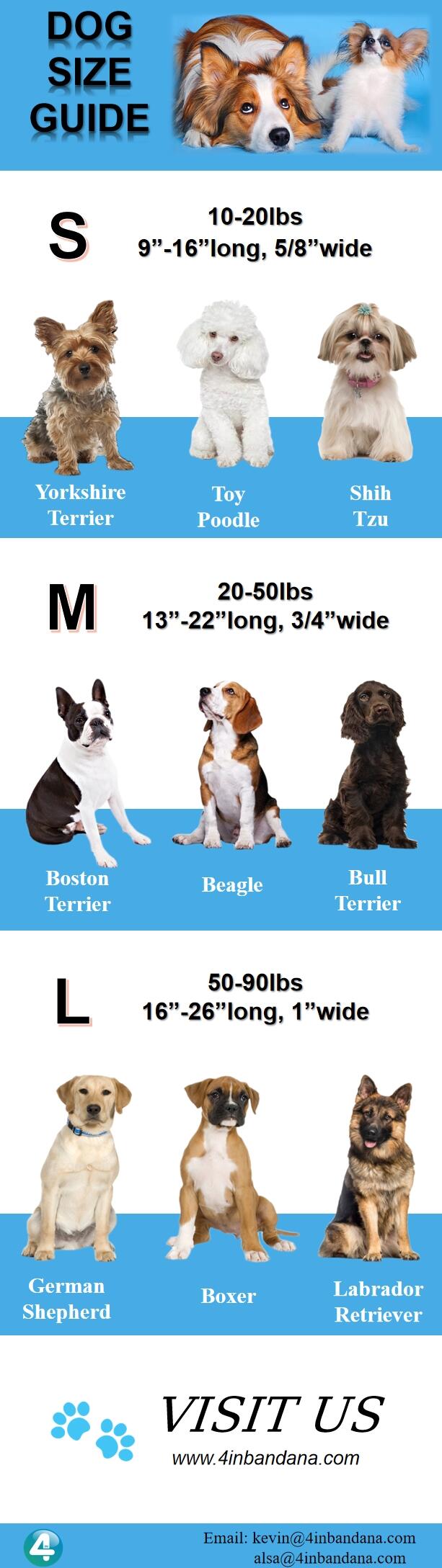 Dog Collar Size Guide