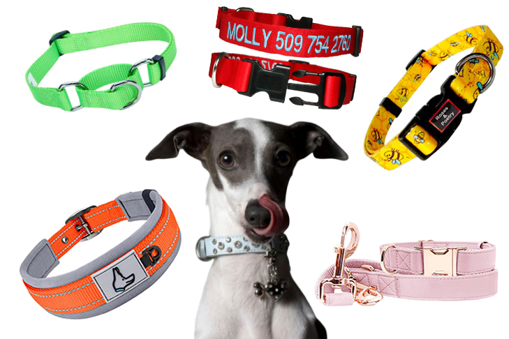 what does the dog collar symbolise