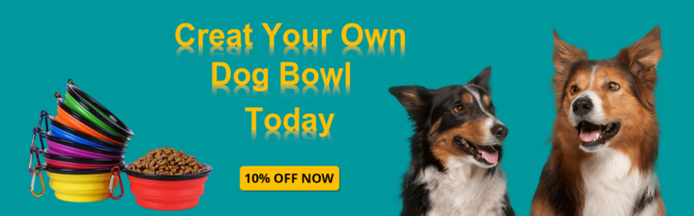 what-size-dog-bowl-do-i-need-4inbandana