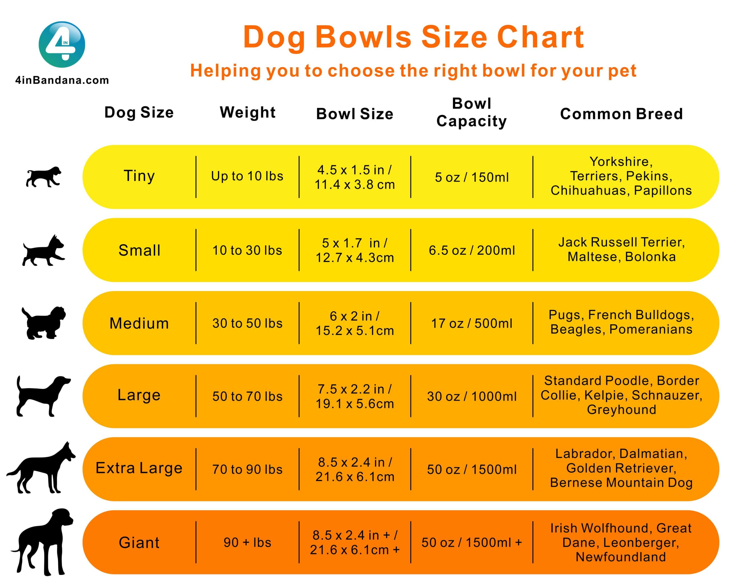 1000 ML Big Dog Water & Food Bowl for Medium Large Dogs Foldable