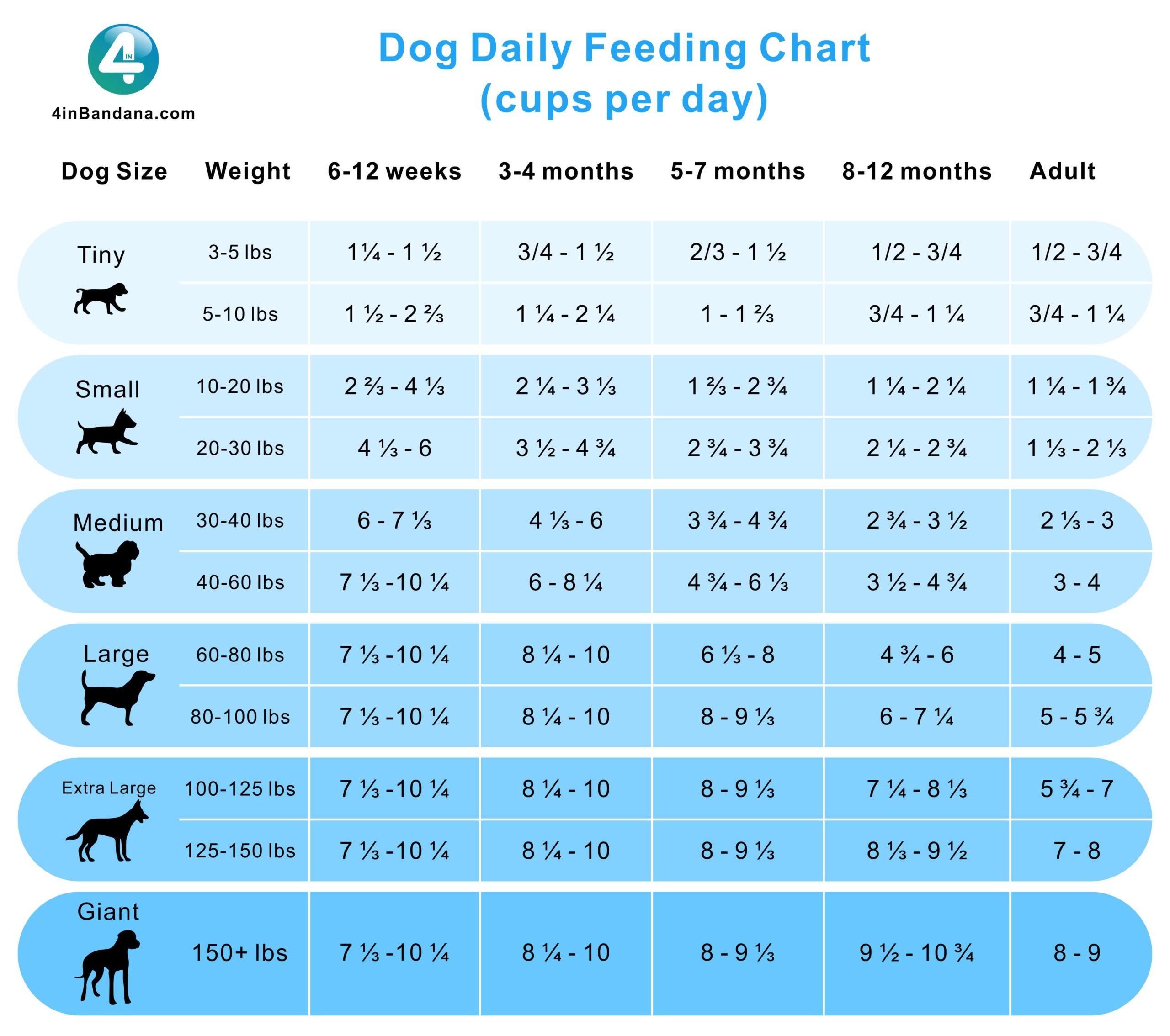 What Size Dog Bowl Do I Need? - 4inBandana®