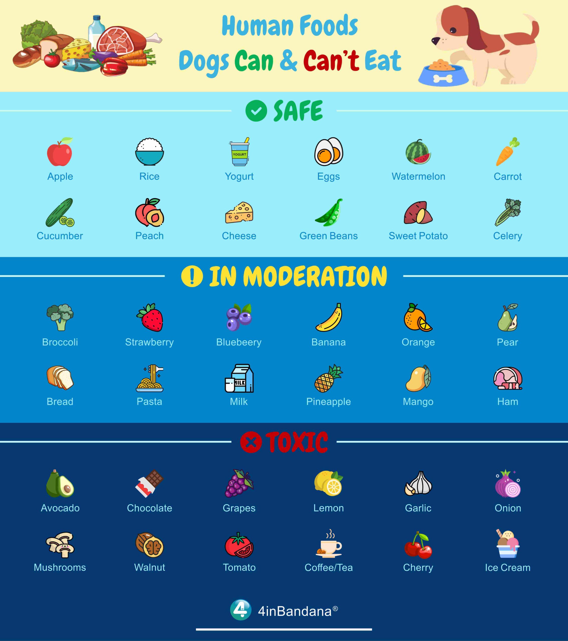 Human Foods Dogs Can and Can't Eat [with Chart]