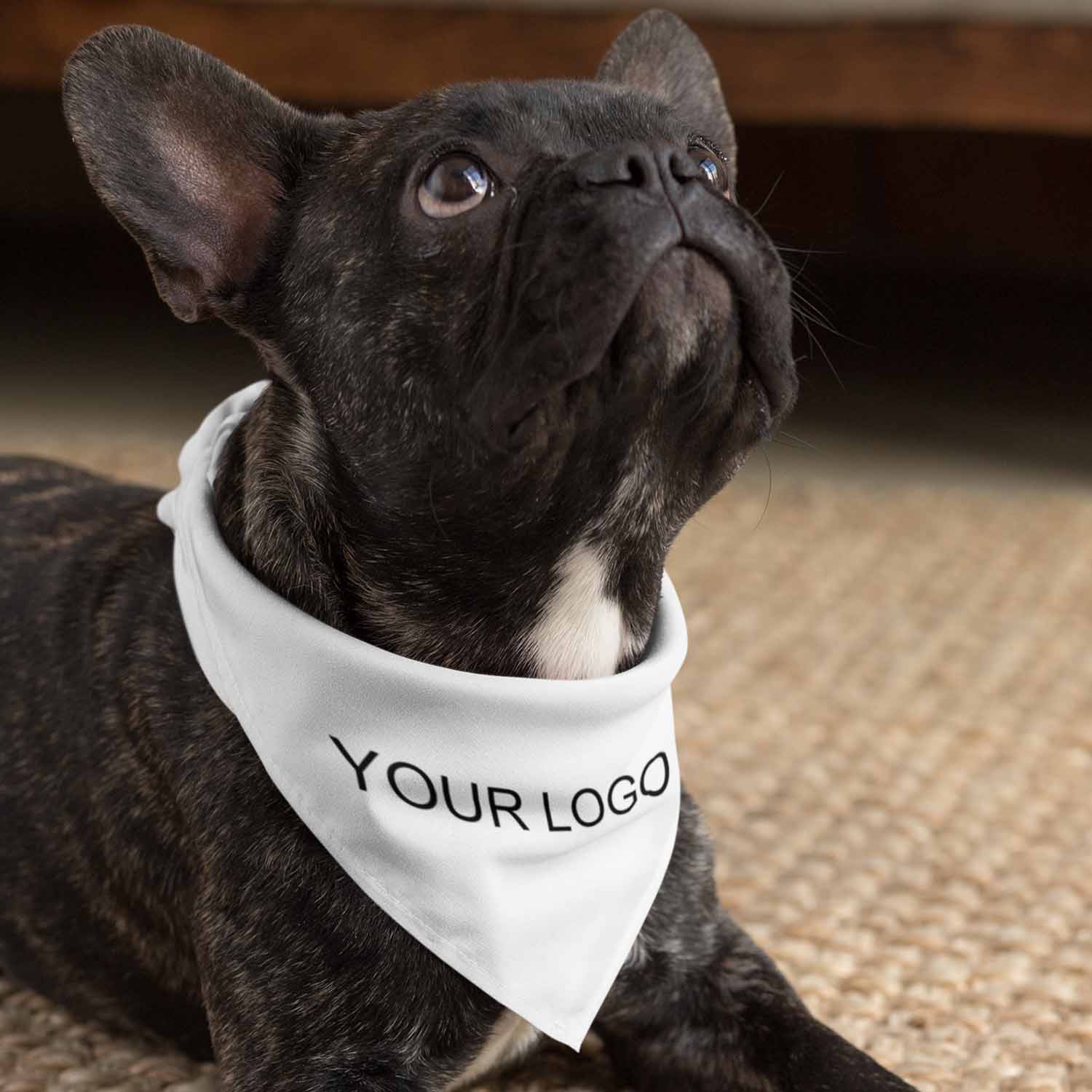 Best Dog Bandanas – Accessories & Apparel For Your Dapper Dog | 4inbandana